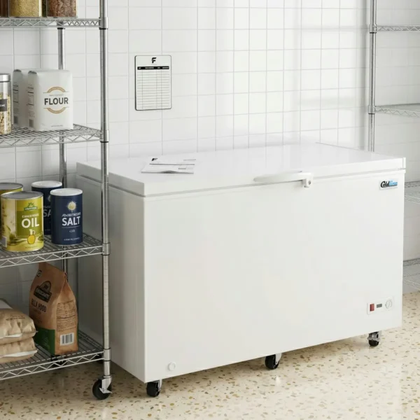 Coldline 60 Commercial Chest Freezer